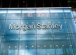 Morgan Stanley sees up to 20% upside in Tata Power, Torrent Power & BHEL