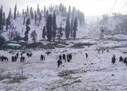 Kashmir welcomes season's first snowfall: Gulmarg, Pahalgam transform into winter havens