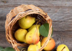 7 health benefits of eating pears