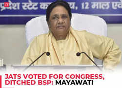 BSP chief Mayawati blames non-transference of Jat votes in Haryana for poor show