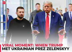 Viral moment: Trump vows to end Russia-Ukraine war quickly as he meets with Ukrainian Prez Zelenskyy