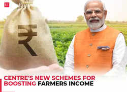 Modi Cabinet approves two schemes of Rs 1,01,321 cr for farmer loans, food security