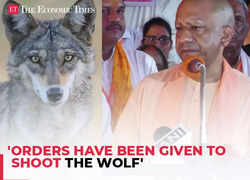 Wolf attacks in Bahraich: Orders have been given to shoot the wolf, says CM Yogi