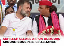 'Will continue...,' Akhilesh Yadav on rumours around Congress-SP alliance after Haryana poll results