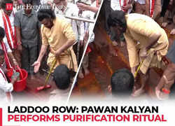 Tirupati Laddoo Row: Andhra Dy CM Pawan Kalyan performs purification ritual at Kanaka Durga Temple in Vijayawada