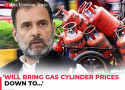 Rahul Gandhi's big promise to Haryana ahead of elections 'Will bring gas cylinder prices down to...'