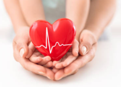 World Heart Day 2024: Exercises that boosts heart health