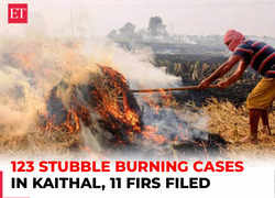 123 Stubble burning cases in Haryana's Kaithal, 11 FIRs filed: DC Vivek Bharti