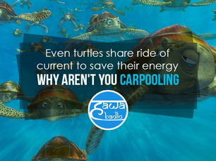 After all we are smarter than turtles right?#HawaBadlo #ChangeTheAir #AirPollution #Carpool