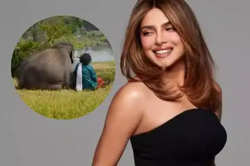 Ahead of Oscars 2023, Priyanka Chopra reviews 'The Elephant Whisperers', says she 'loved it'