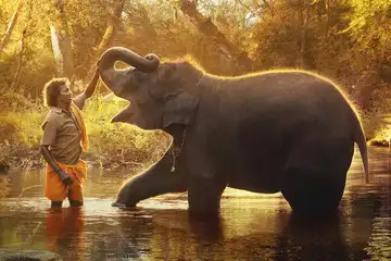 Oscars 2023: 'The Elephant Whisperers' impresses jury, wins Best Documentary Short Film