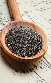 7 benefits of eating chia seeds everyday