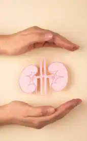 9 everyday foods to keep your kidneys strong