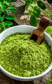 Moringa powder: 6 health benefits and the best way to take it