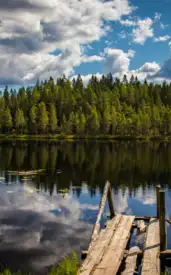 ​8 Underrated National Parks in India​