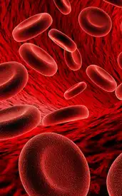 ​9 foods to cure iron deficiency