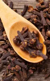 5 amazing benefits of eating cloves in the morning