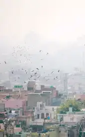 5 worst Indian cities to live in right now (based on air quality)