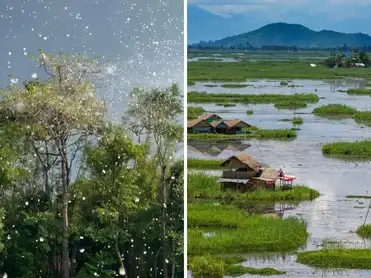 No winter, no snowfall, but everything turns white: Why this North Eastern state transforms into a snowy wonderland every summer