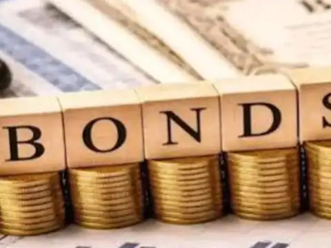 Clean Max Enviro Energy raises Rs 2,500 cr via green bonds