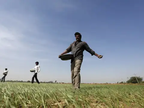 Major respite for India on fertiliser front as urea prices finally fall