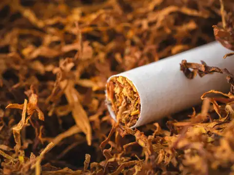 Government mulls further tightening of FDI norms in tobacco sector: Sources