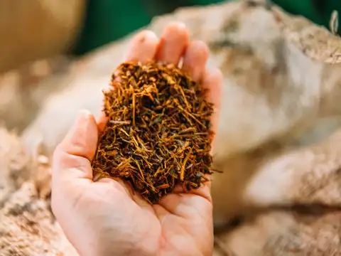 Steps likely to safeguard FCV tobacco farmers