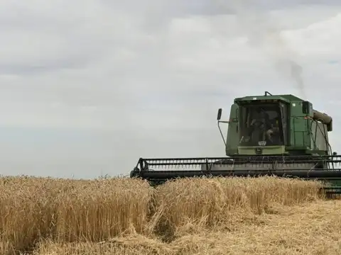 Decades of farm gains, inventories strengthen food system against 'super' El Nino