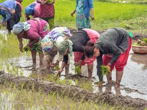 Karnataka announces Rs 2,500 input subsidy for drought-hit farmers: Dy CM Parameshwara