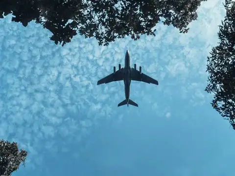 DGCA issues 1,331 commercial pilot licences this year till June end: Government