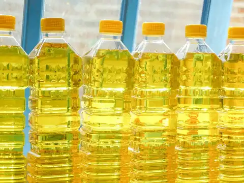 Edible oil refiners set to clock 10-12% revenue growth in FY27 despite duty cut: Report