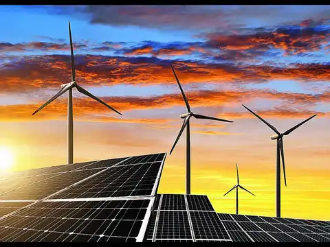 JSW Neo, Blackstone & Macquarie among suitors for BluPine Energy