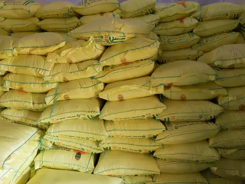 Centre invites bids for green urea plants to curb import reliance