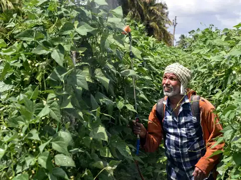 Bayer partners with Absolute&rsquo;s INERA to expand biological crop nutrition in India