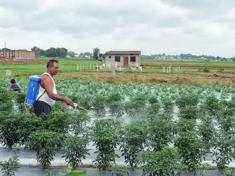Urea imports may get 50% cheaper before kharif season as China eases supplies