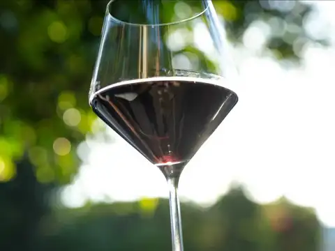 Storm in a wine glass: As climate change and young consumers reshape the wine world, can India take advantage?