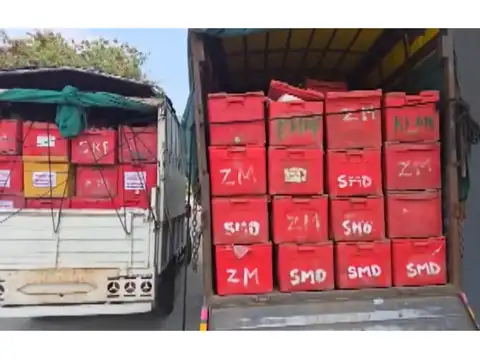FDA seizes nearly 9.5 tonnes of paneer, khoya ahead of Diwali in Pune