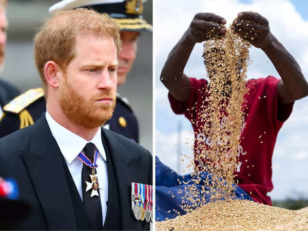 From Prince Harry's ginger hair to Indian matrimonial term 'wheatish', understanding the complex relation between foods & colours