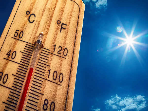 India Heatwave Highlights News Updates: Punjab declares summer break in schools from May 21 to June 30; Himachal Pradesh adjusts school timings