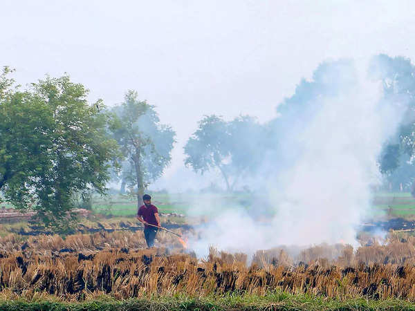 View: Stubble-burning is not an insignificant source of pollution, and a ‘simple’ solution exists