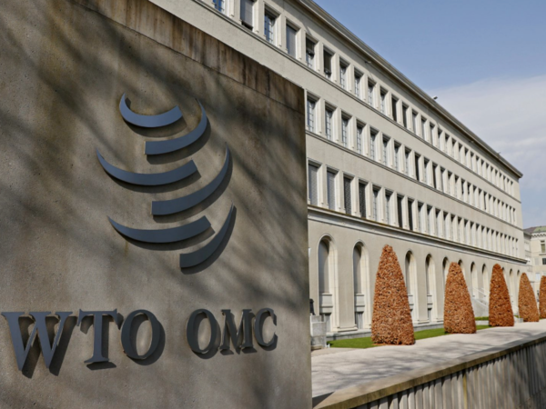 View: Credibility of WTO rests on whether the more powerful member states can rise to the occasion in Geneva