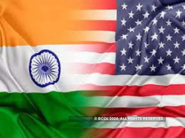 View: Indian-Americans and their role in the upcoming US presidential elections