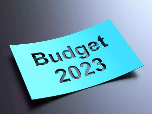 Five transformative strategies Budget has taken note of based on trends that will shape India