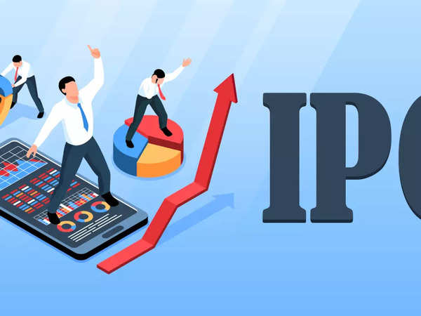 What makes Divgi IPO suitable for investors with high risk appetite