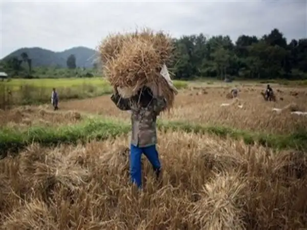 Agriculture credit target raised to Rs 5.75 lakh crore