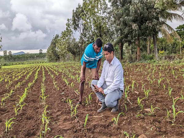 A Karnataka-based firm is giving Maize, the world’s second-most widely grown crop, an AI boost
