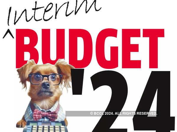 View: Fantastic Interim budget, awaiting July for Viksit Bharat 2047 plan