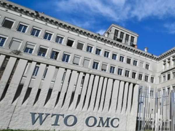 View: WTO must emphasise that it is not just about free trade but also about fair trade