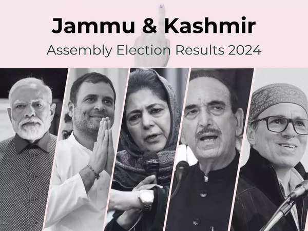 Udhampur Election Result 2024: Congress-NC Alliance Big Win Against BJP