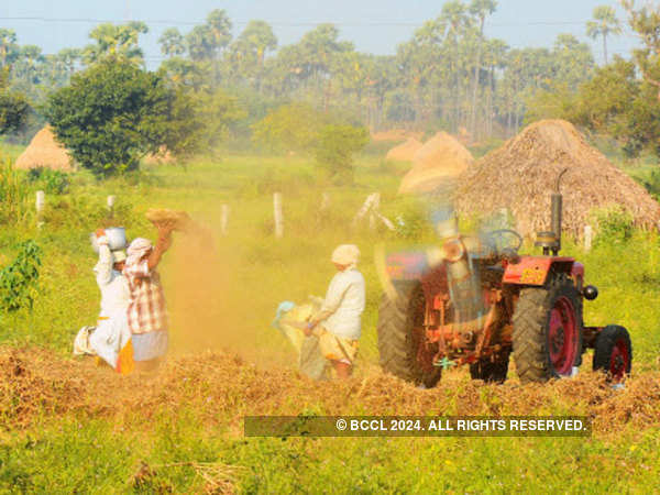 View: Government should now focus on inter-state coordination for a subject like agriculture